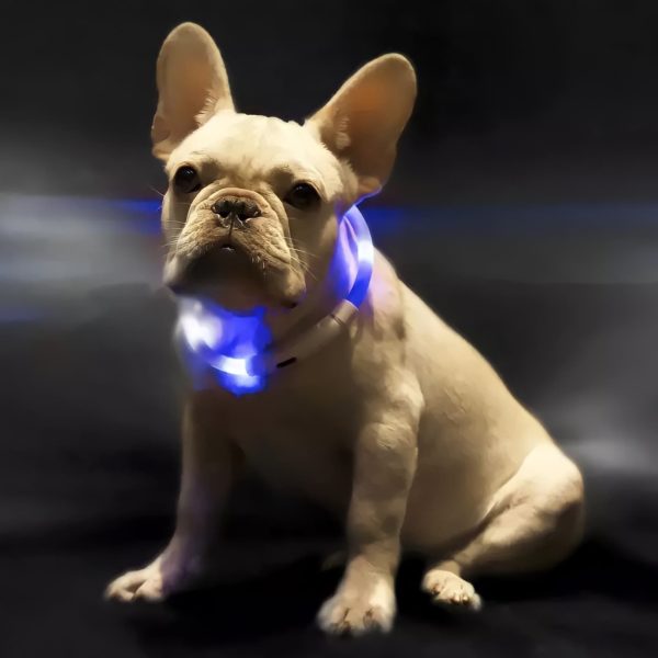 Mi Luminous Dog Collar